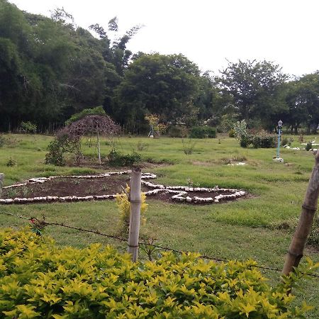 Blue Valley Jungle Resort Nilgiris Exterior photo
