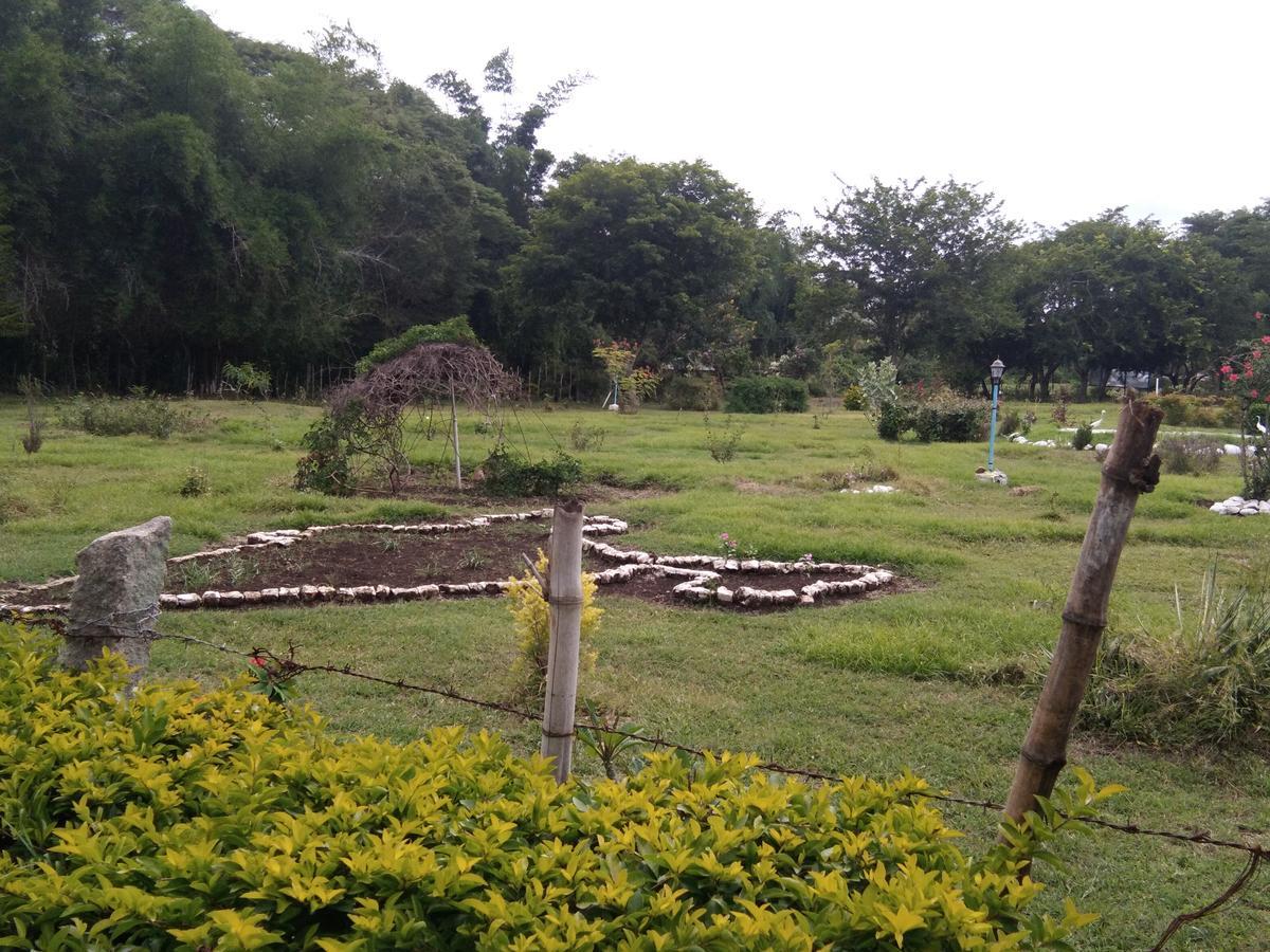 Blue Valley Jungle Resort Nilgiris Exterior photo